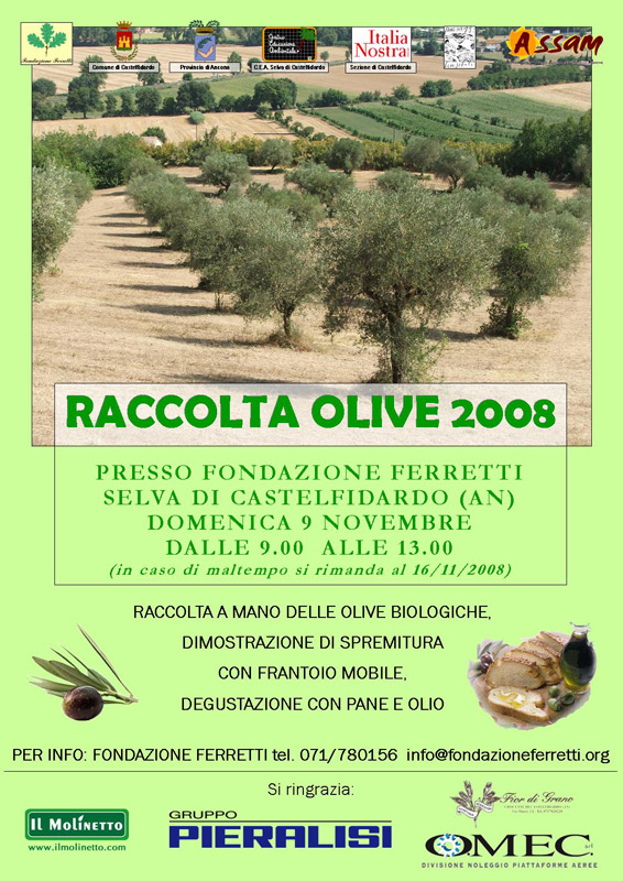 Raccolta olive 2008 e degustazione