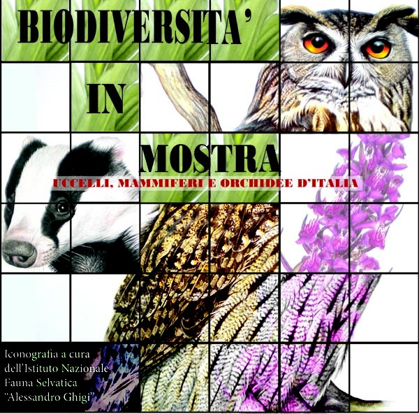 "Biodiversità in mostra – Uccelli, mammiferi e orchidee d`Italia"