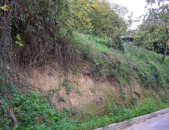 Sistemazione scarpata in zona Fornaci