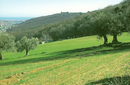 Contributo regionale per la pista ciclabile alla Selva