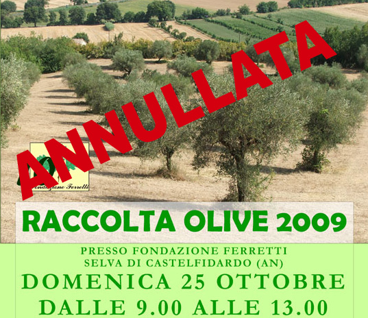 Raccolta Olive - Manifestazione Annullata!!