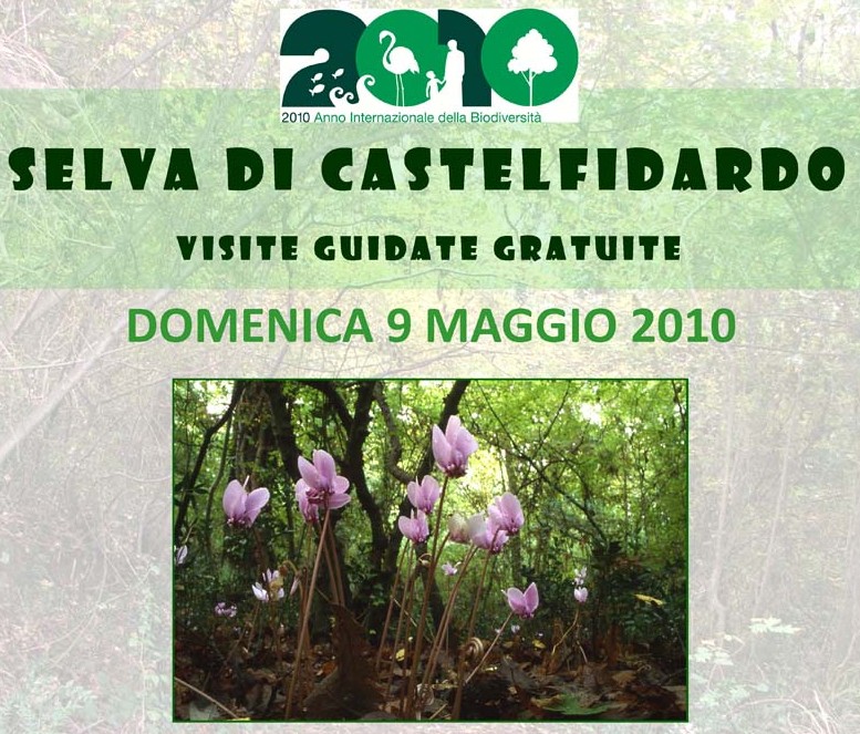 Visite guidate gratuite alla Selva