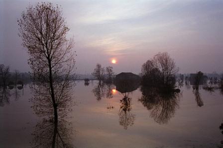 Comunicazioni Danni  Alluvione Aziende e Privati