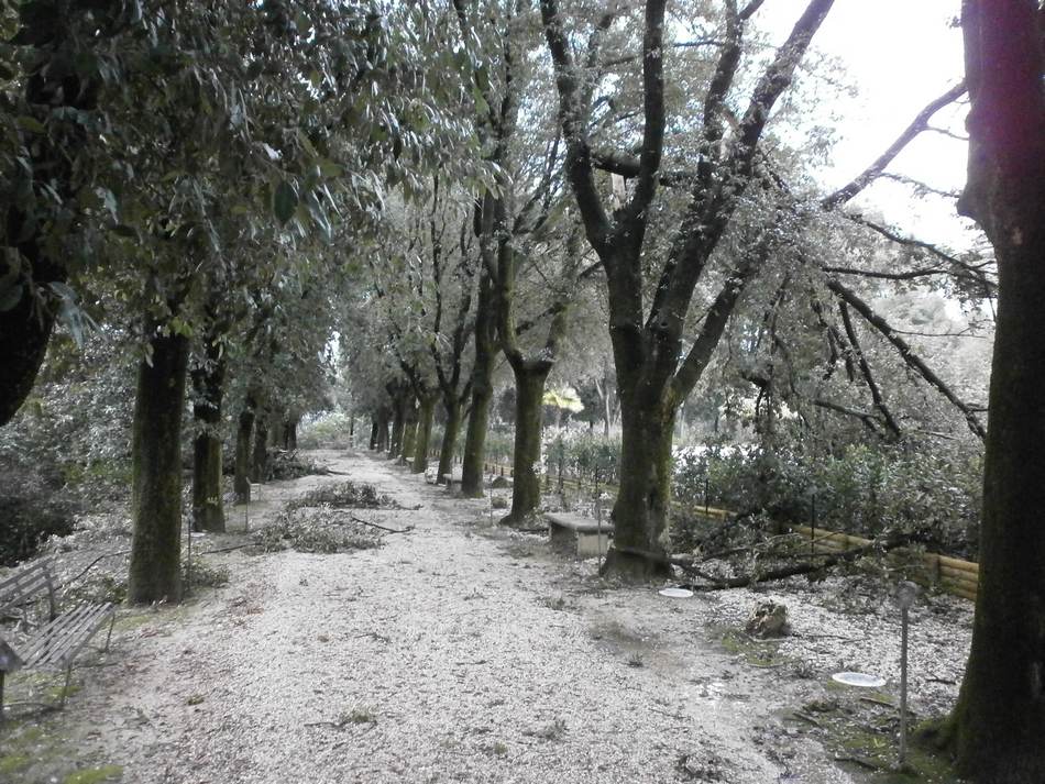 Raccolta legna nel Parco del Monumento