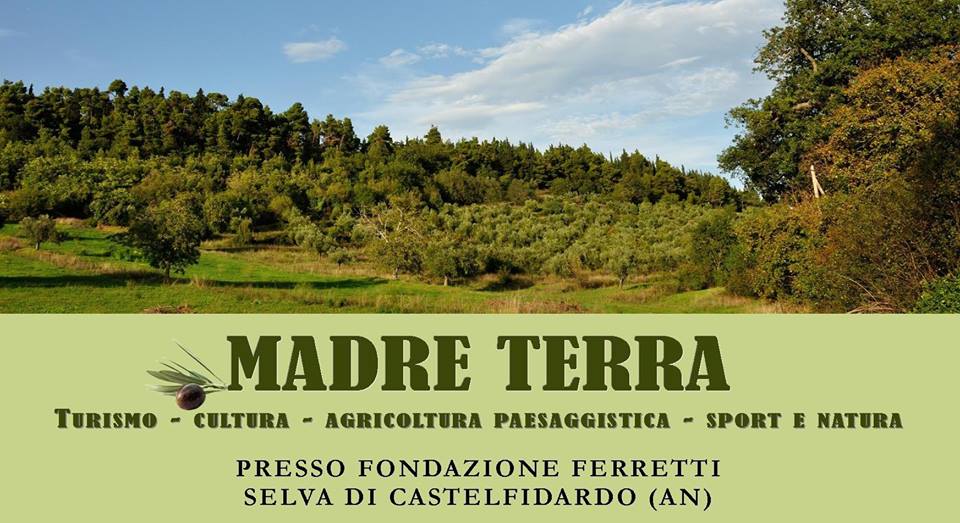 “Madre terra”, torna la raccolta delle olive