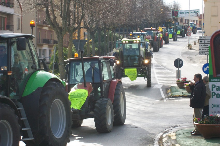 Giornata del ringraziamento, tre appuntamenti