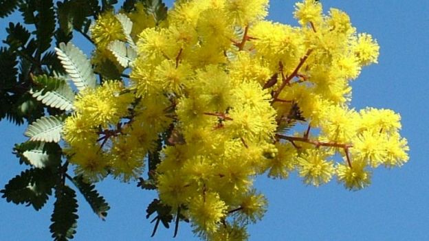 Anc, due conferenze per la festa della donna