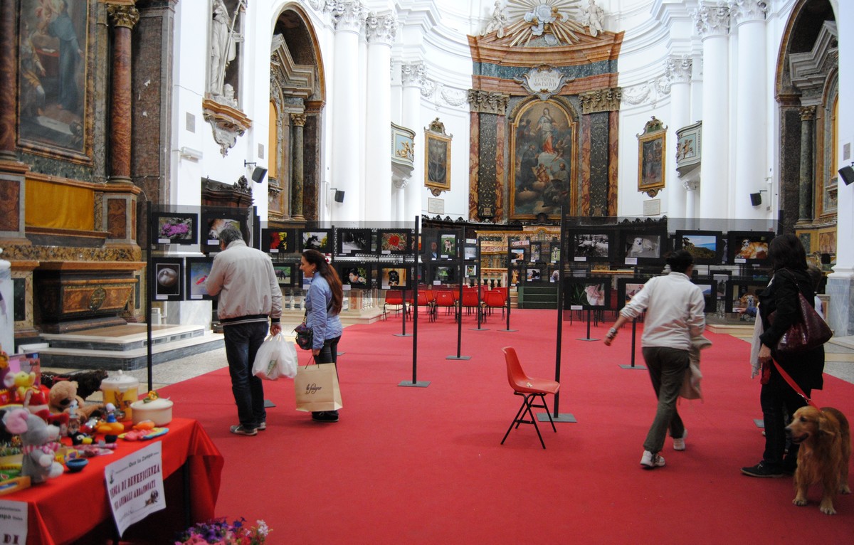 Una zampa nel verde, mostra-concorso fotografica