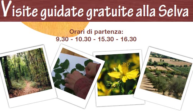 Domenica, visite guidate gratuite alla selva