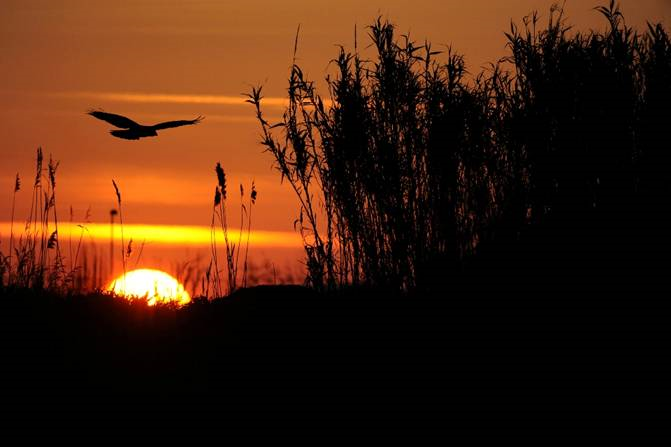 Le ali del Musone per le "Conversazioni in giardino"