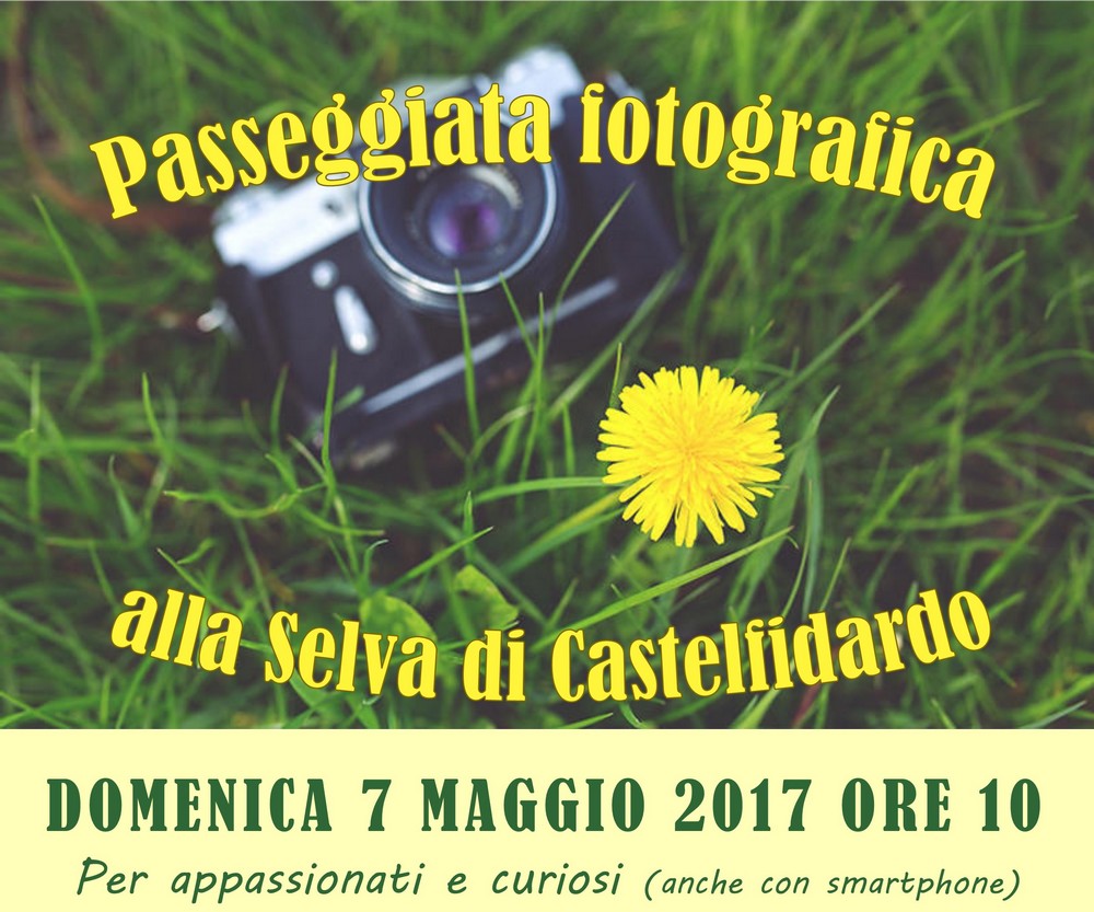 Passeggiata fotografica nella Selva