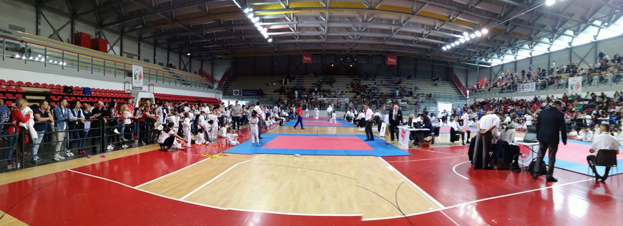 Asd Karate, pioggia di medaglie al PalaBaldinelli